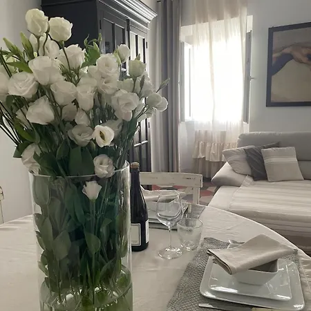 Luxury Navona *